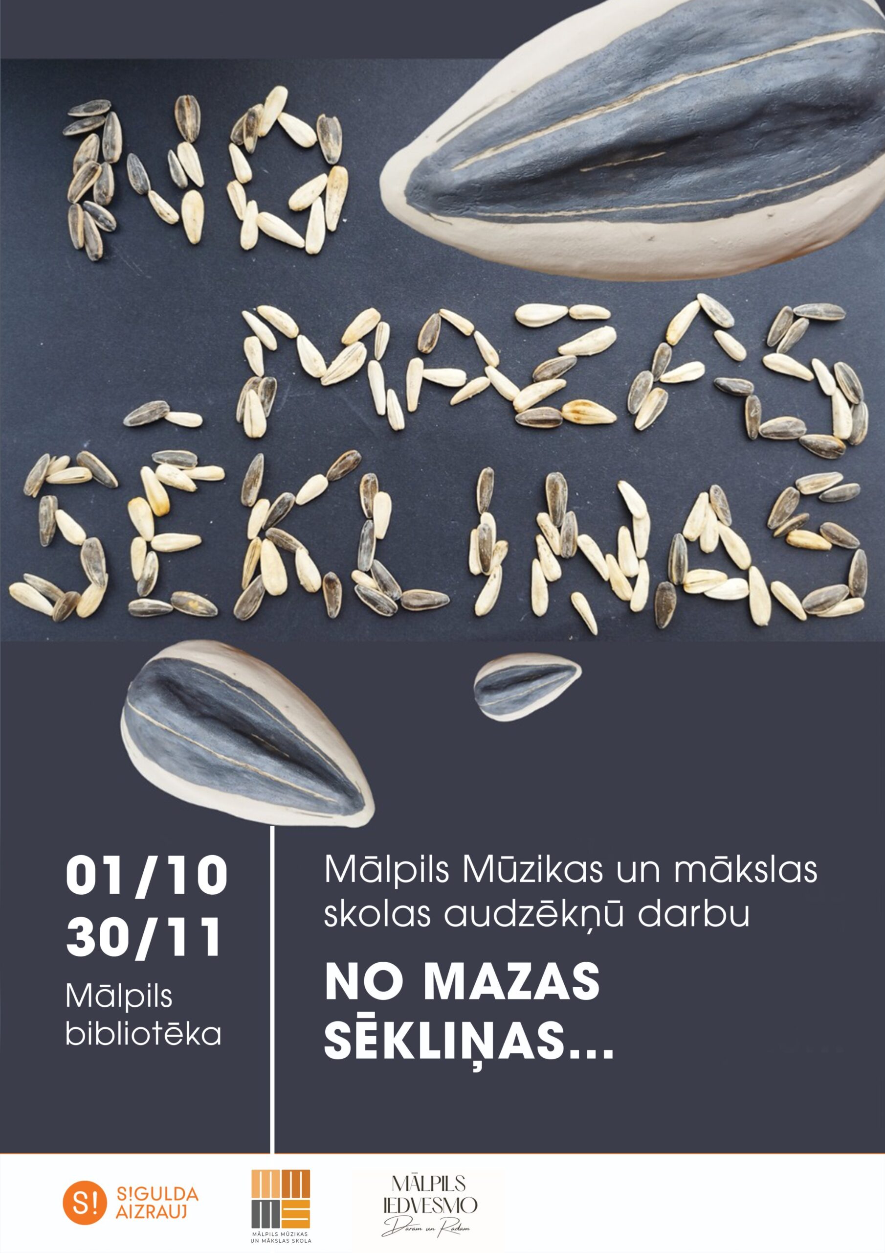 no mazas sēklīnas labots Erikas ar pareizu tekta kompozīciju