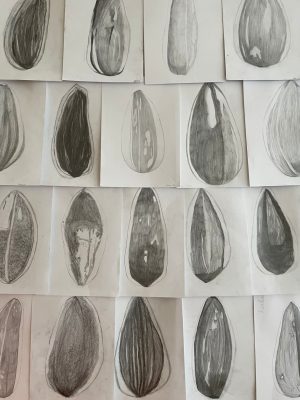 560559401_18085126885935098_9005650436636487652_n