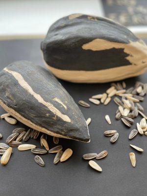 560605918_18085126837935098_2169216833451733109_n